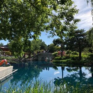 Meet your Posher, Nahla